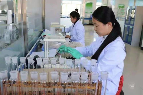 七星農(nóng)業(yè)技術(shù)推廣中心入選全國(guó)星級(jí)基層農(nóng)技推廣機(jī)構(gòu)