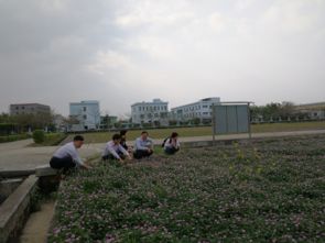 惠州市人民政府門戶網(wǎng)站