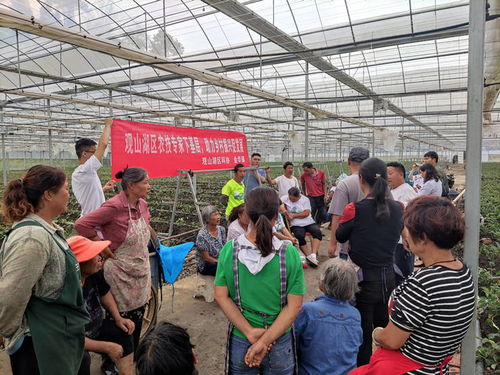 當(dāng)好鄉(xiāng)村振興 服務(wù)員 觀山湖區(qū)科協(xié) 農(nóng)技專家工作站 助力科技惠農(nóng)