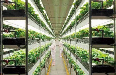 小小靚科技2017十大農(nóng)業(yè)科技盤(pán)點(diǎn)