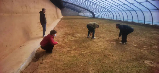 蘭州市城關區(qū):農(nóng)技服務在田間 春耕備耕正當時