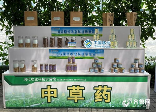 央視點贊新泰智慧光伏農(nóng)業(yè) 山東移動助力激活鄉(xiāng)村振興新動能