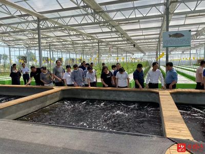 臨沂市農(nóng)科院深化科技服務(wù)走進山里王田園綜合體