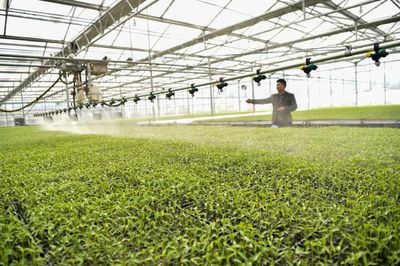 以服務(wù)之長,補農(nóng)業(yè)之短!