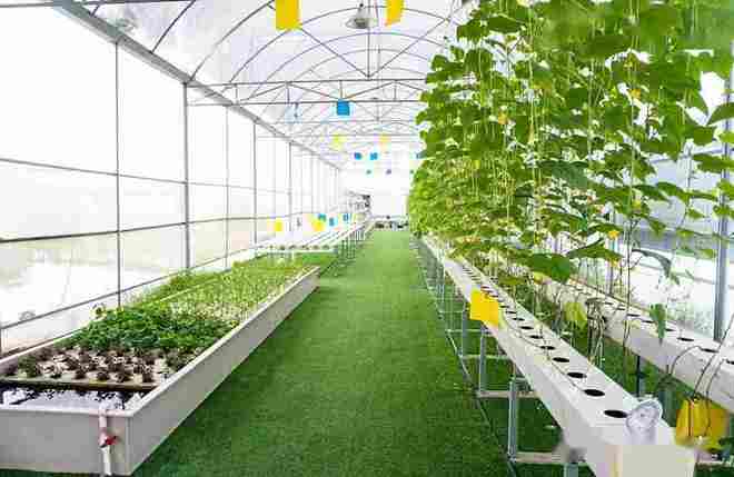 西安三產融合園,農業產業園分類,鄉村振興項目,美麗鄉村項目