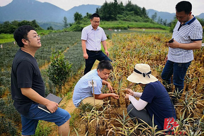 省農科院科技專家服務團深入龍山田間地頭助力產業發展