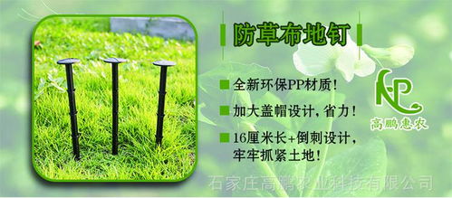 PP單張打孔防草地布 現(xiàn)代農(nóng)業(yè)科技服務的新銳工具