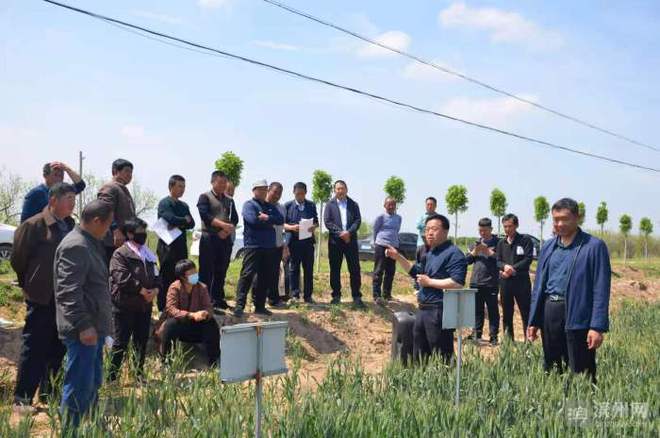 科技特派員賦能濱州田野，精準服務播撒鄉村振興新希望